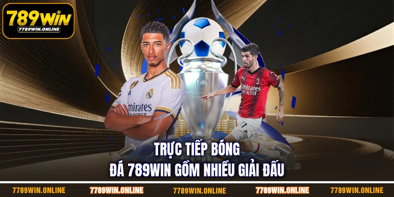 Trực tiếp bóng đá 789WIN gồm nhiều giải đấu Trực tiếp bóng đá 789WIN gồm nhiều giải đấu